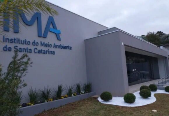 Tribunal de Justiça de Santa Catarina suspende portaria do IMA que classificava restingas como APPs