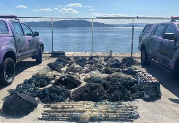 Polícia Militar Ambiental apreende redes de pesca e baterias durante fiscalizações