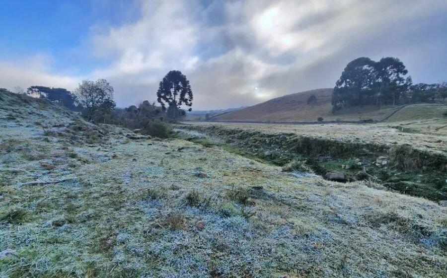 Onda de frio: geada persistente pinta a paisagem pelo terceiro dia consecutivo