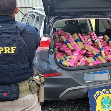 Polícia Rodoviária Federal apreende 200 quilos de maconha na BR-101 Polícia Rodoviária Federal apreende 200 quilos de maconha na BR-101