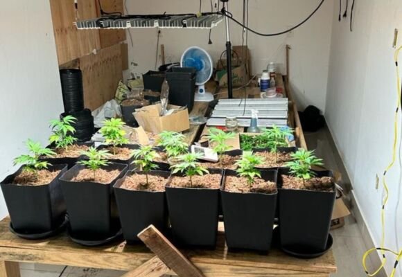 Operação policial resulta na prisão de suspeitos de tráfico de drogas