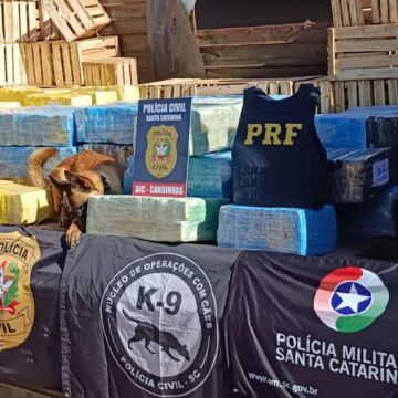 Polícia Civil  apreende mais 1.000Kg de maconha