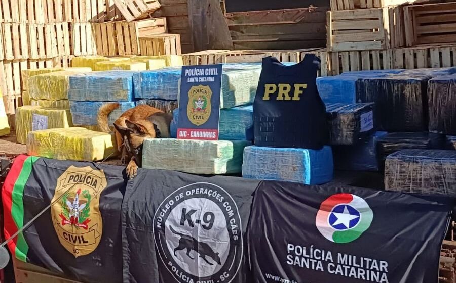 Polícia Civil  apreende mais 1.000Kg de maconha