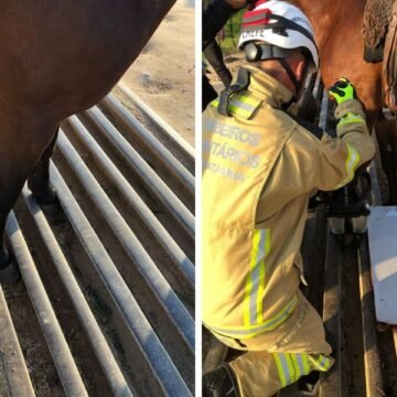 Égua é resgatada pelos Bombeiros Voluntários de Jaguaruna Égua é resgatada pelos Bombeiros Voluntários de Jaguaruna