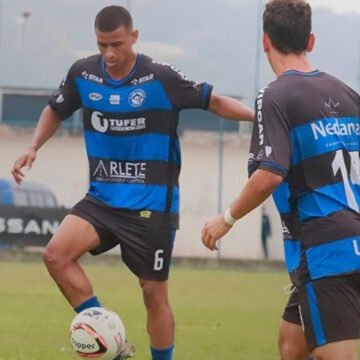 Times de Tubarão se destacam nas classificações dos campeonatos estaduais Times de Tubarão se destacam nas classificações dos campeonatos estaduais