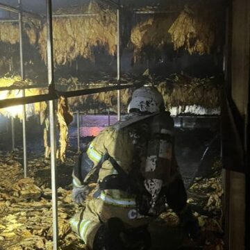 Estufa de fumo é atingida por incêndio em Treze de Maio Estufa de fumo é atingida por incêndio em Treze de Maio