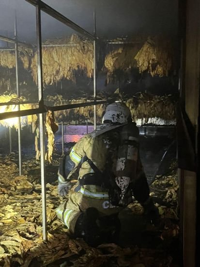 Estufa de fumo é atingida por incêndio em Treze de Maio Estufa de fumo é atingida por incêndio em Treze de Maio
