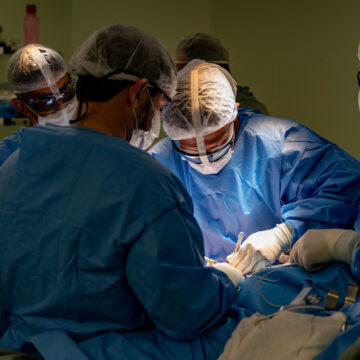 Santa Catarina bate recorde no número de cirurgias eletivas realizadas em 2023 Santa Catarina bate recorde no número de cirurgias eletivas realizadas em 2023