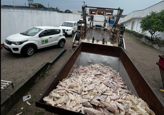 Cidasc apreende 6,5 toneladas de pescado em estabelecimento clandestino em Laguna