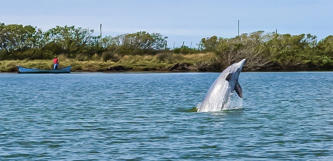 Restaurante na Ponta da Barra é multado em quase R$ 90 mil  por violação ambiental