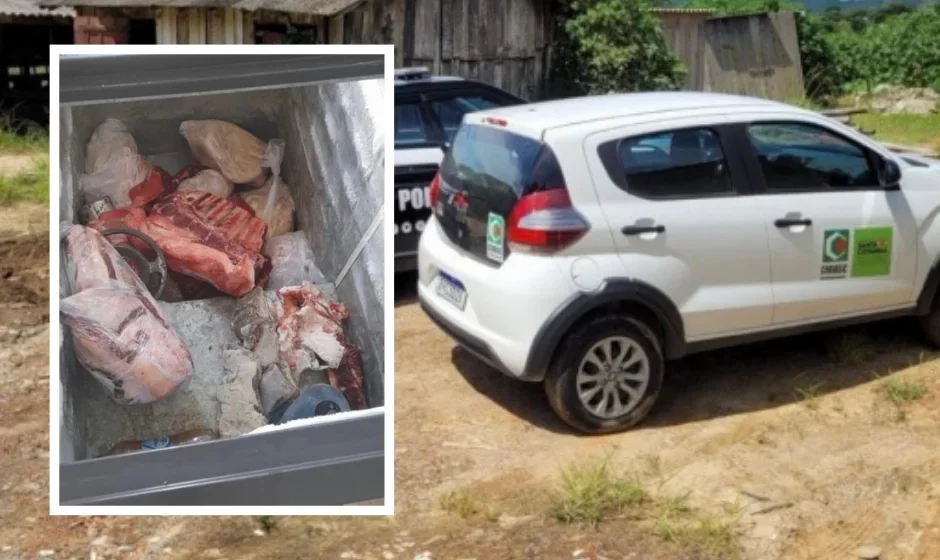 Carne imprópria para consumo é apreendida em abatedouros ilegais da região