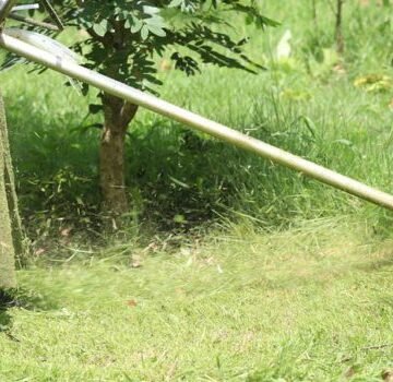 Cronograma de trabalhos das equipes de Serviços Públicos é definido