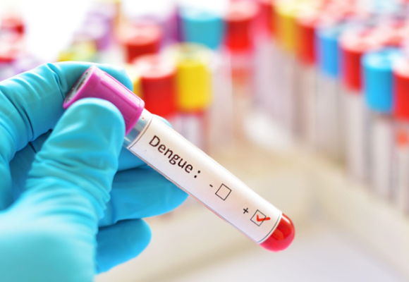 Dengue: primeiro caso deste ano, contraído em Tubarão, é confirmado