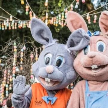 São Martinho promove votação para escolher nome da coelha mascote da 6ª Osterdorf