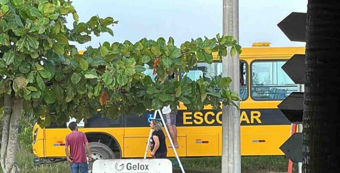 Criança esquecida em ônibus escolar é salva por populares em Laguna