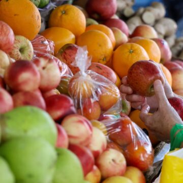 Santa Catarina é o estado com maior segurança alimentar e menor desigualdade de renda do Brasil