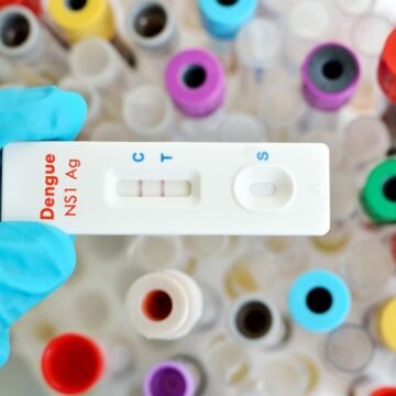 Casos confirmados de dengue em Tubarão sobem 72% em uma semana