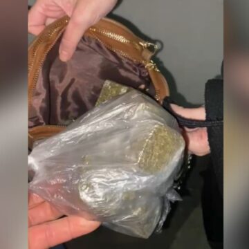 Mulher de 23 anos é presa por tráfico de drogas no bairro São Martinho em Tubarão Mulher de 23 anos é presa por tráfico de drogas no bairro São Martinho em Tubarão