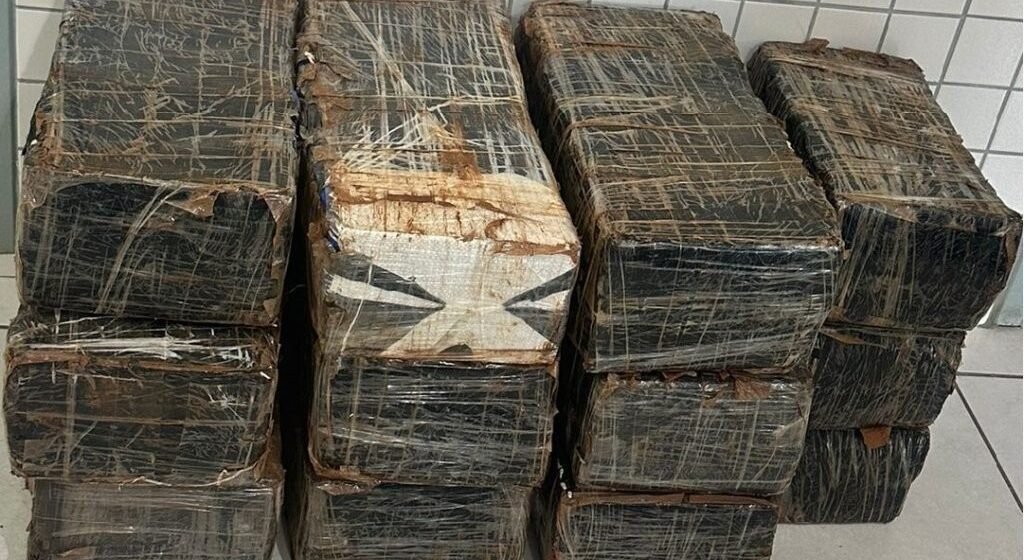 Contra o tráfico de drogas, forças de segurança tiram de circulação cerca de 245 quilos de maconha Contra o tráfico de drogas, forças de segurança tiram de circulação cerca de 245 quilos de maconha