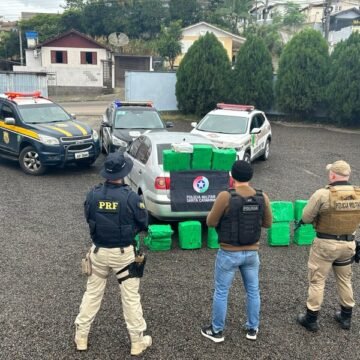 Mais de 240 kg de maconha são apreendidos durante operação em Braço do Norte