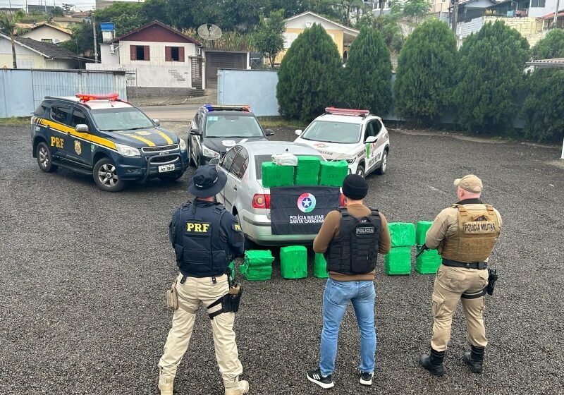 Mais de 240 kg de maconha são apreendidos durante operação em Braço do Norte