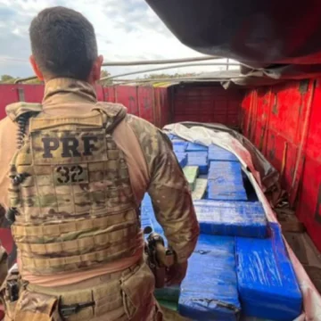 Caminhoneiro tubaronense é flagrado transportando mais de três toneladas de maconha Caminhoneiro tubaronense é flagrado transportando mais de três toneladas de maconha