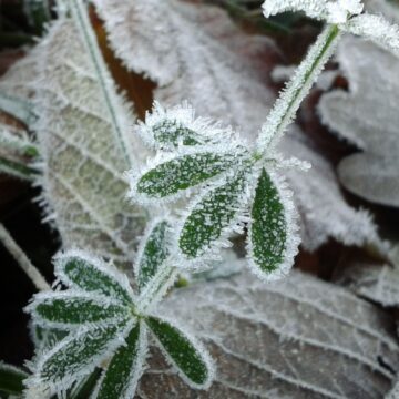 Temperaturas terão queda brusca a partir desta quinta-feira (8)