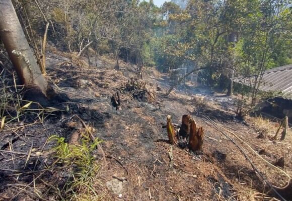 Corpo de Bombeiros Militar orienta sobre como prevenir incêndios em vegetação