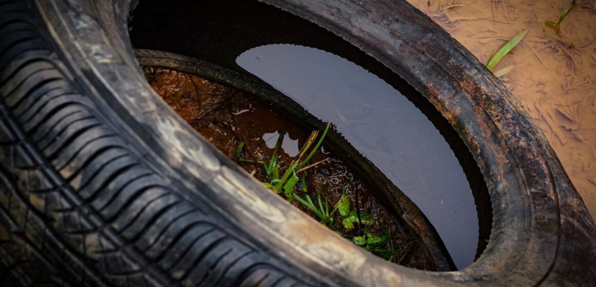 Dengue em SC: inscrições campanha de recolhimento de pneus abrem segunda (5)