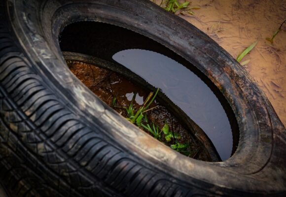 Dengue em SC: inscrições campanha de recolhimento de pneus abrem segunda (5)