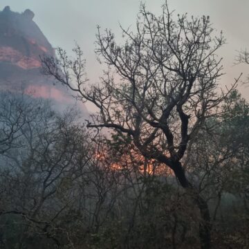 Em meio ao combate às chamas no Mato Grosso, bombeiros catarinenses resgatam grupo de brigadistas Em meio ao combate às chamas no Mato Grosso, bombeiros catarinenses resgatam grupo de brigadistas