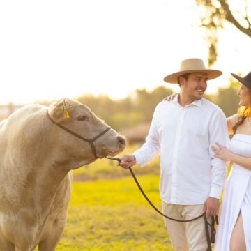 Noivos de Tubarão fazem ensaio fotográfico inusitado com um touro