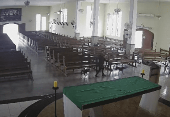 Senhora é flagrada furtando vaso de flor de igreja em Tubarão