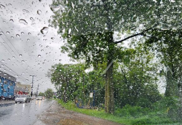 Tubarão: Defesa Civil segue monitorando situação da chuva