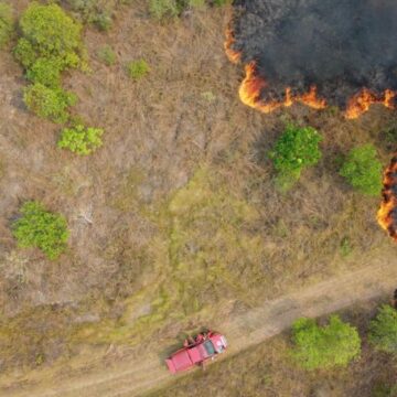 Queimadas no Mato Grosso: bombeiros de Santa Catarina ampliam atuação no combate aos incêndios