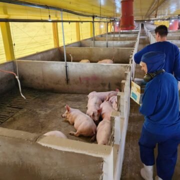 Cidasc realiza campanha sobre biosseguridade nas atividades pecuárias Cidasc realiza campanha sobre biosseguridade nas atividades pecuárias