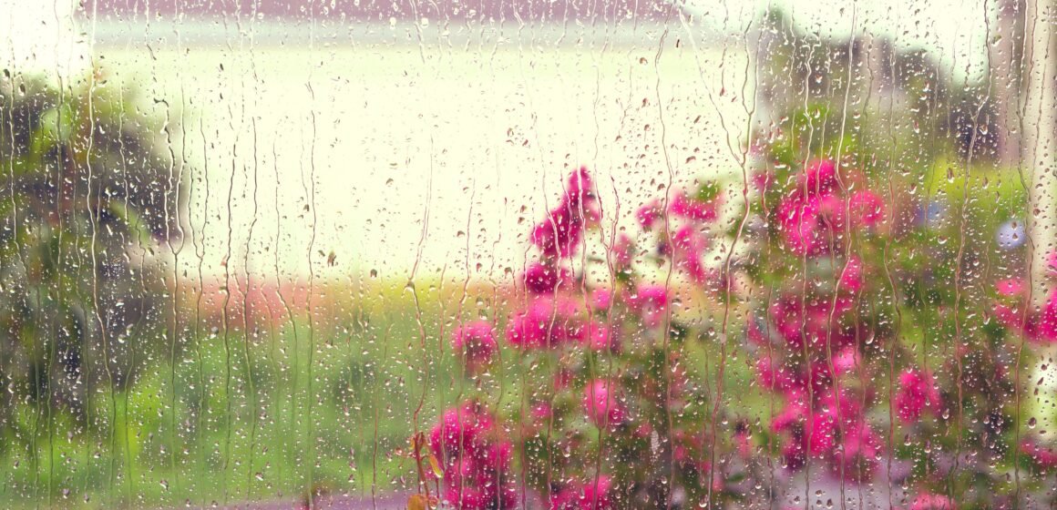 Natal com temporais isolados em Santa Catarina: Defesa Civil alerta para riscos moderados em algumas regiões