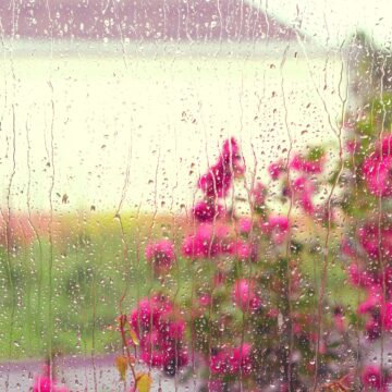 Natal com temporais isolados em Santa Catarina: Defesa Civil alerta para riscos moderados em algumas regiões