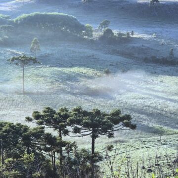 27 de dezembro: geada surpreende o Verão e pinta de branco a Serra Catarinense