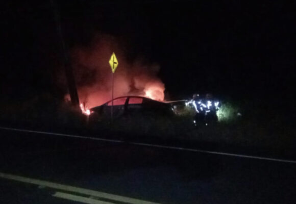 Carro pega fogo após desviar de cachorros e colidir com poste