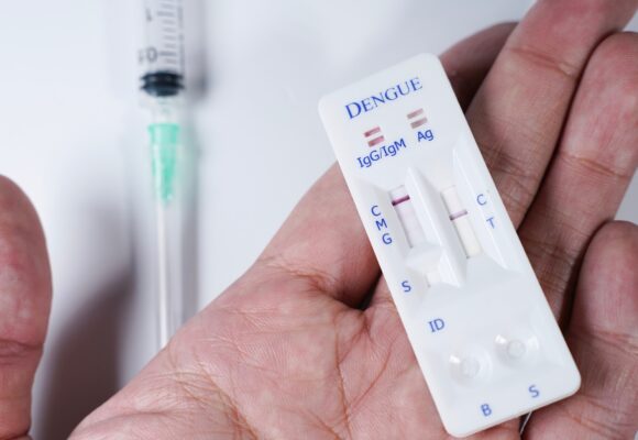 Dengue em 2024: Brasil registra mais de 6,4 milhões de casos e quase 6 mil mortes