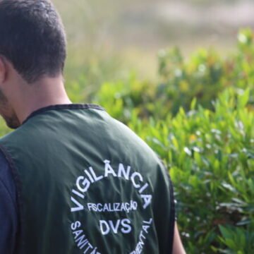 Vigilância em Saúde combate caramujos africanos em Imbituba