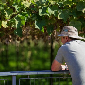 Sistema Faesc/Senar capacita produtores rurais para o uso da Nota Fiscal Eletrônica