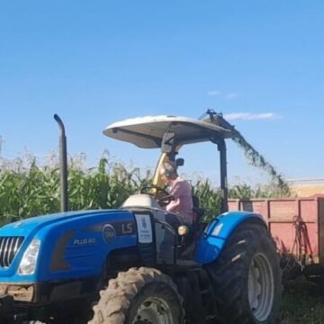 Secretaria de Agricultura disponibiliza equipamentos para apoio a produtores de milho em Tubarão