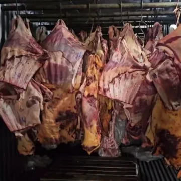 Frigorífico adultera carne estragada da enchente de RS e vende como nobre Frigorífico adultera carne estragada da enchente de RS e vende como nobre