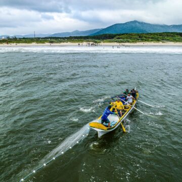 SC se prepara para a pesca da tainha com expectativa de boa safra