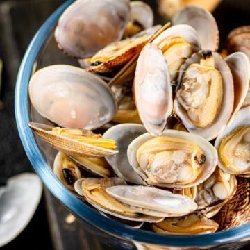 Cidasc alerta para risco de intoxicação por moluscos na costa catarinense