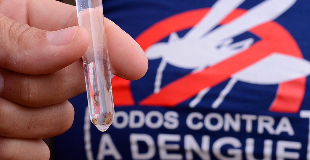 Primeiro caso de Chikungunya é registrado em Garopaba