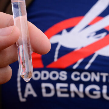 Primeiro caso de Chikungunya é registrado em Garopaba