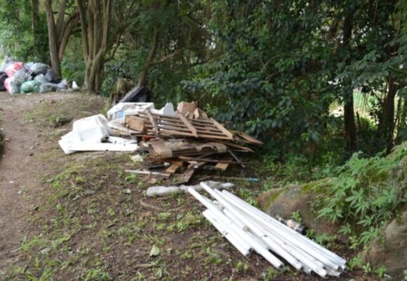 Voluntários podem se inscrever para mutirão de limpeza no Rio Tubarão